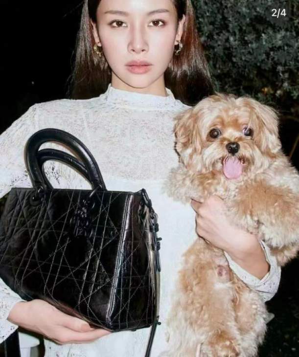 Picture of Dior Handbags _SKUfw239231990fw